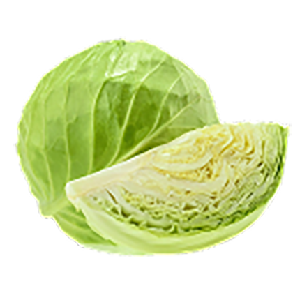 Green Cabbage
