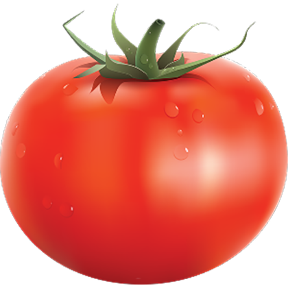Round Tomatoes
