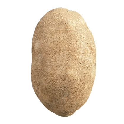 Russet Potato