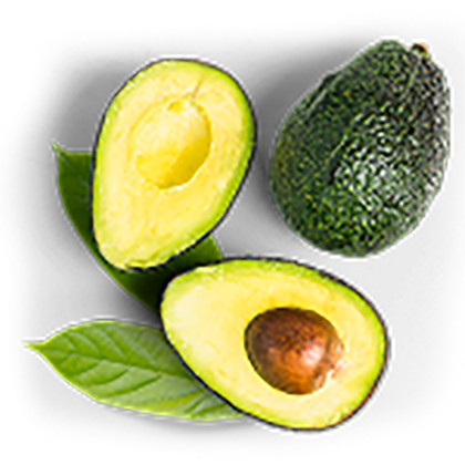 Avocado