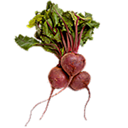 Beet