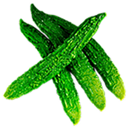 Indian Bittermelon