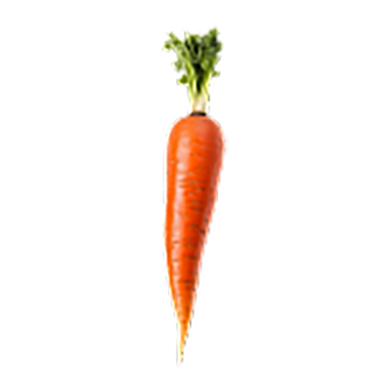 Carrot