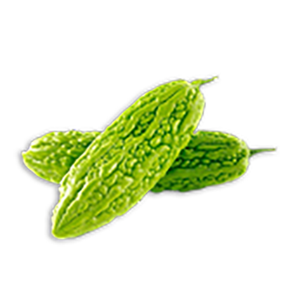 Chinese Bittermelon