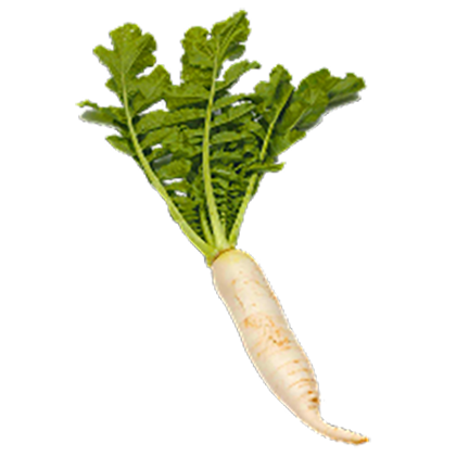 Daikon