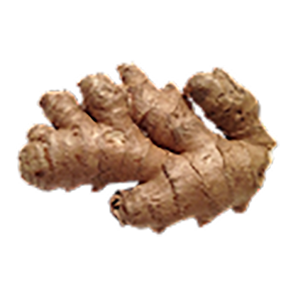 Ginger