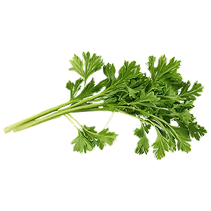 Parsley