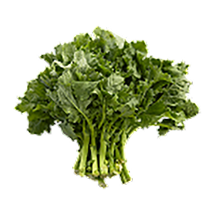 Rapini