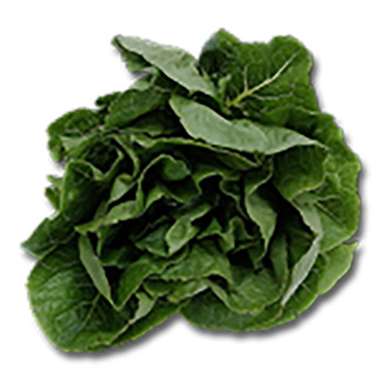 Spinach